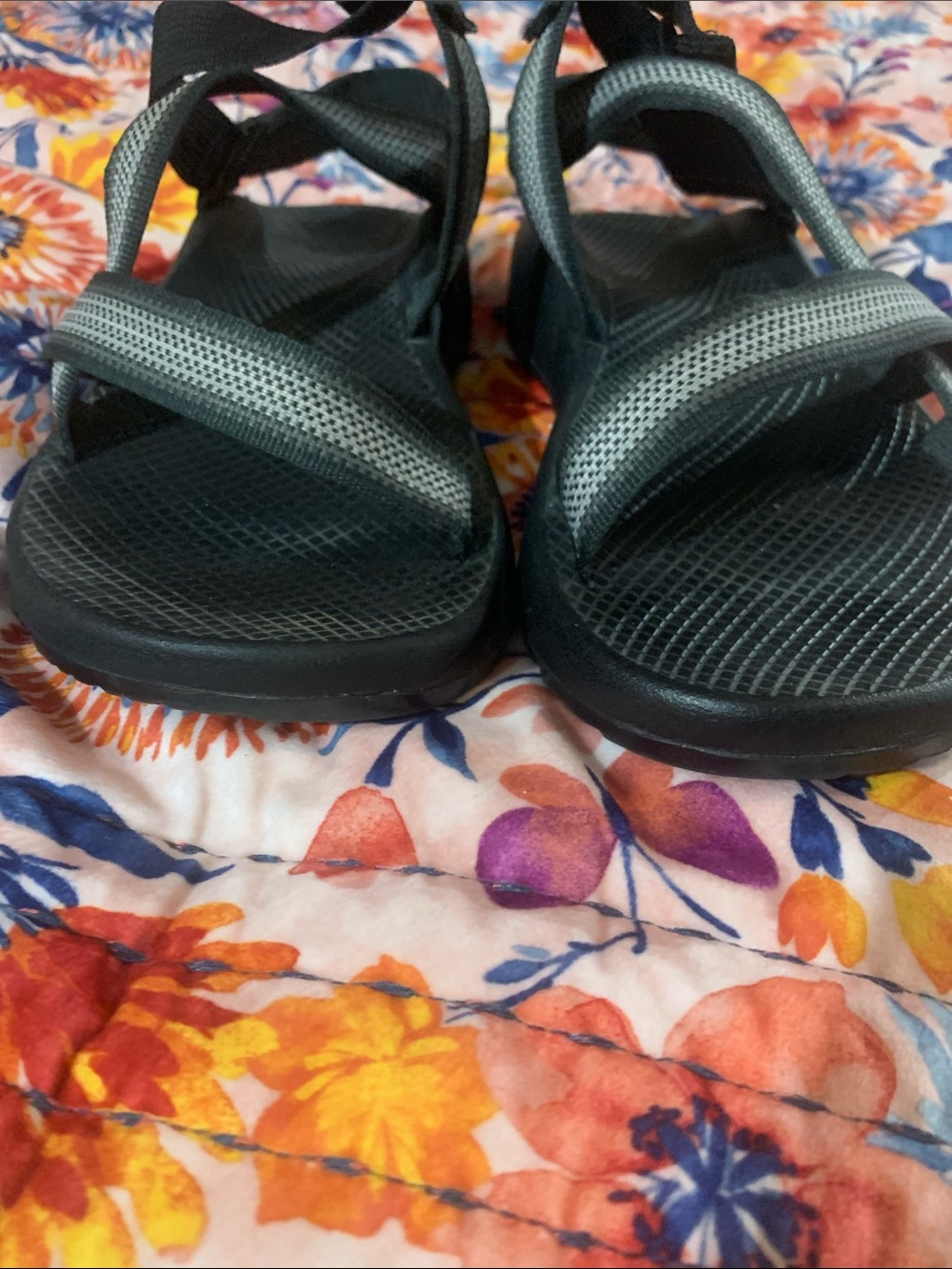 Chaco - Picture 6 of 8